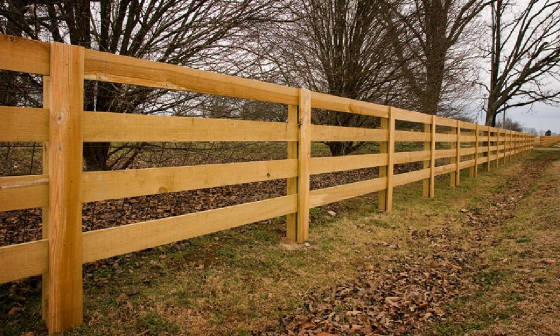 4-board-rough-cut-Farm-Fence Pressure treated pine Jefferson Ga