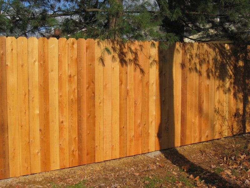 6 ft Privacy Dogered Fence Cedar 